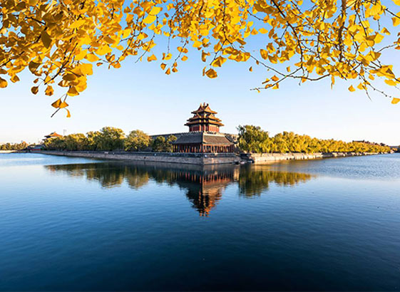 案例实录：中国旅行社出海运营，SEO助力销量翻倍